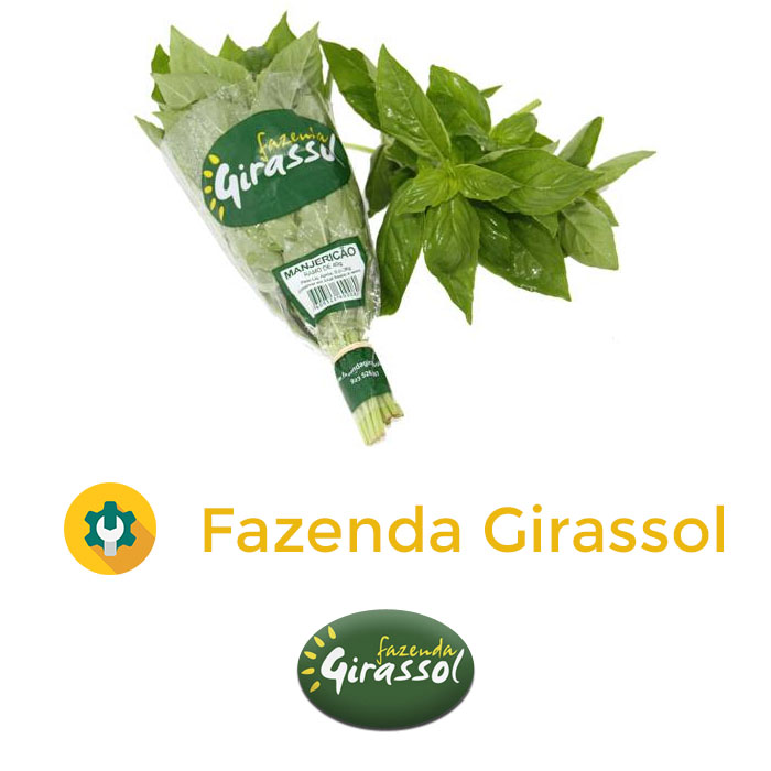 Fazenda Girassol